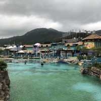 Ocean Park, The only park in Hong Kong to meet Pinguin and Panda