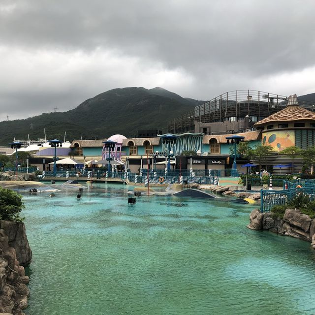 Ocean Park, The only park in Hong Kong to meet Pinguin and Panda