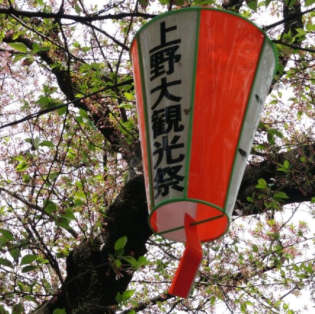 賞櫻熱點🌸🌸🌸