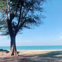 พาไปชิค หาดสมิหลา จ.สงขลา