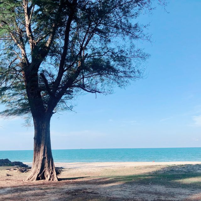 พาไปชิค หาดสมิหลา จ.สงขลา