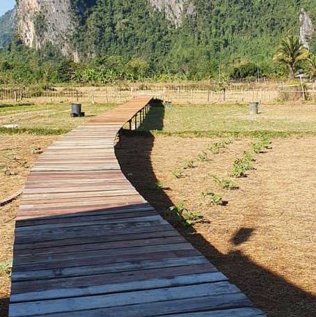 Eat locally in Vangvieng 