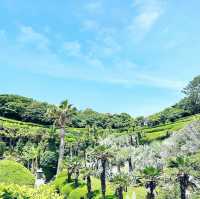 Odeo Island Botanical Garden, Geoje