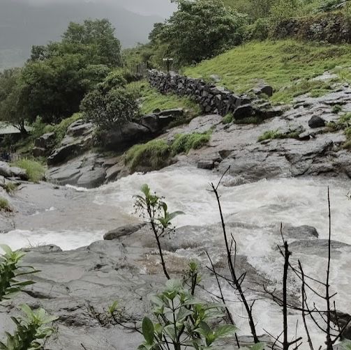 Palshe waterfall Tamini ghat in Pune 