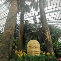 Hanging Gardens Mexican Roots
