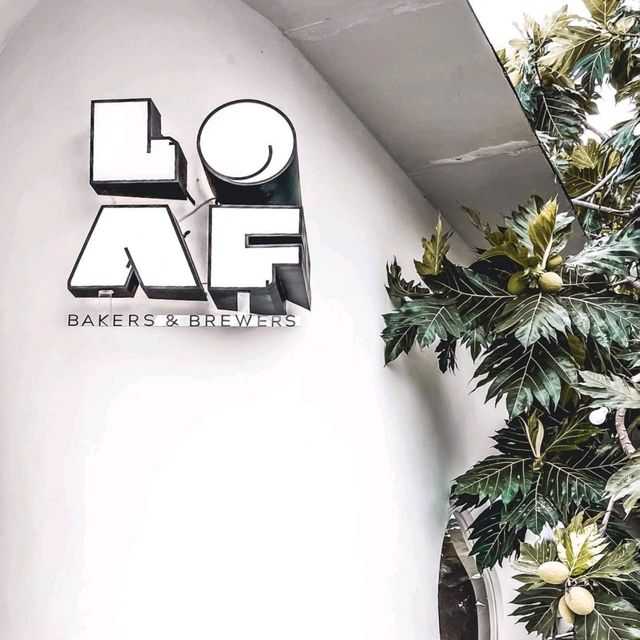 L o a f beakers & brewers