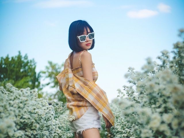 ทุ่งดอกไม้ เชียงใหม่​  I Love Flower Farm แม่ริม