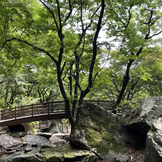 구미가 당기는 구미산 여행