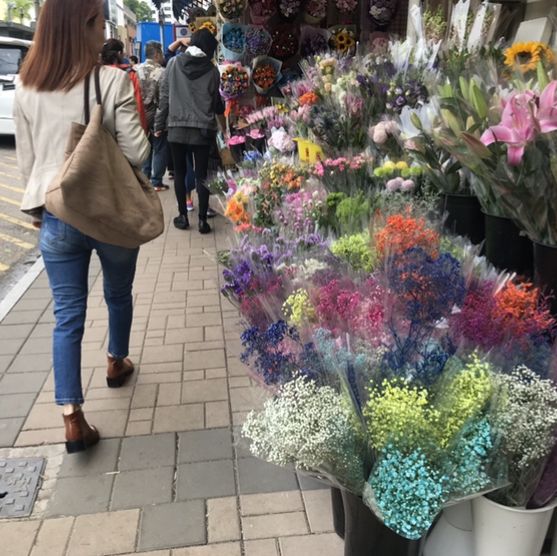 Beautiful Flower Market Road at Hong Kong🌹