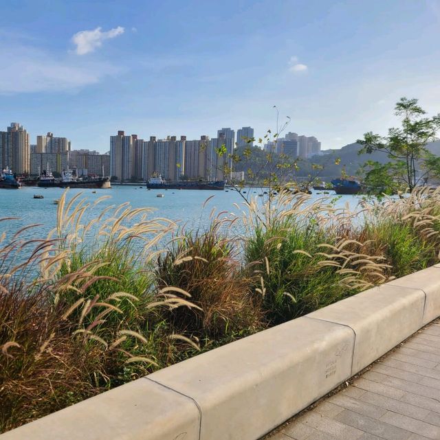 荃灣西約海濱長廊