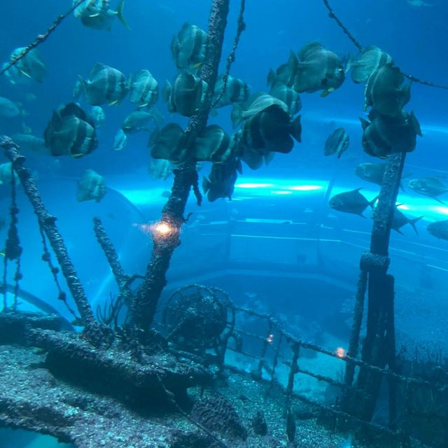 【屏東車城】海洋生物博物館