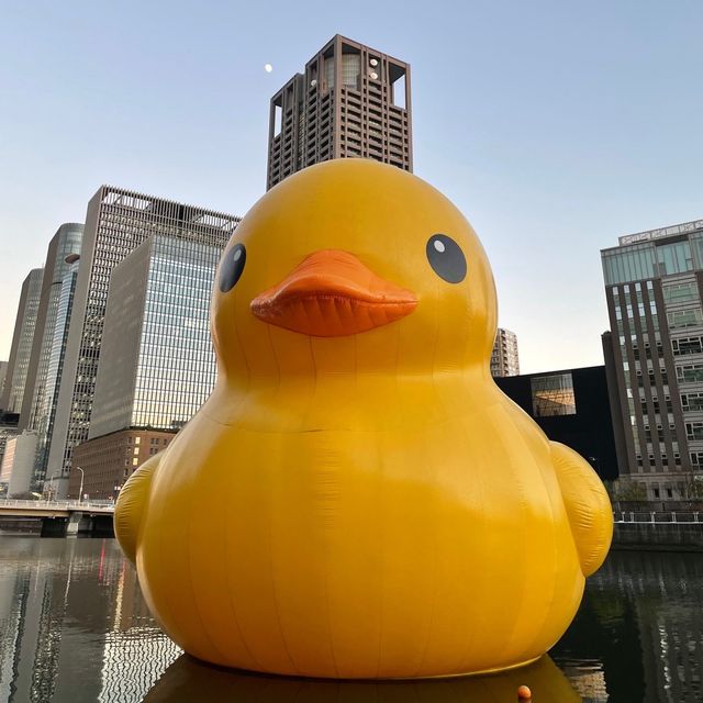 【大阪府】世界を旅するアヒルさんが今年も大阪へ！！
