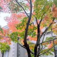東京 新橋 "紅葉の旧新橋停車場駅舎"         ヨーロッパ!?、新橋です!! 緑・黄・オレンジ・赤、カラフル!!