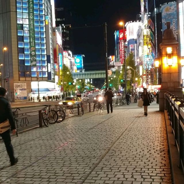 오타쿠들의 성지 아키하바라를 가보자