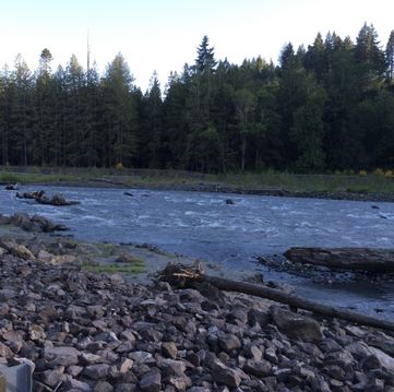 West Elwha Trail trailhead