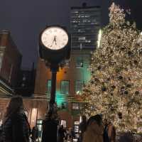 Winter Village Distillery District TO