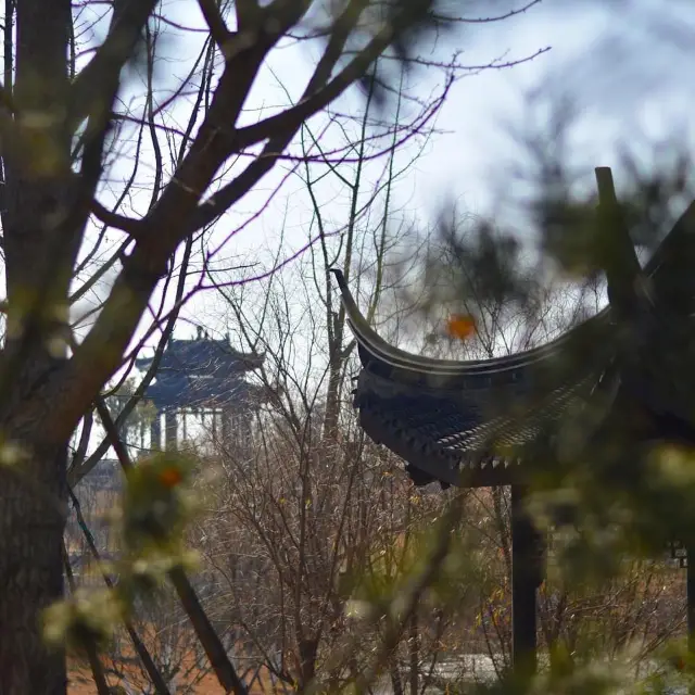 Xinlong Ecological Forest - Changzhou 