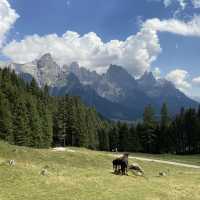 Hiking on the Alps - Malga Ces