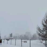 beautiful winter 