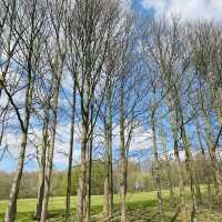 Heaton Park, Manchester