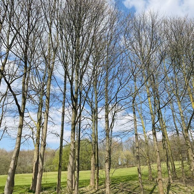Heaton Park, Manchester