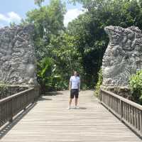 The Incredible Monkey Forest in Bali 