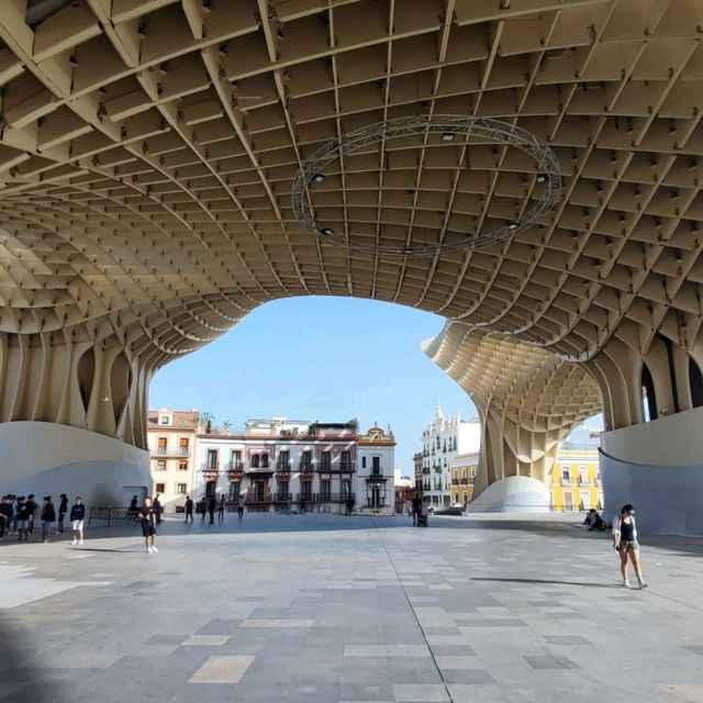 Mushrooms of Seville 