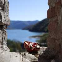 Fluffy friends of Ananuri Fortress