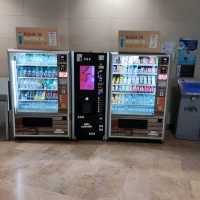 Arrival in Valencia Airport