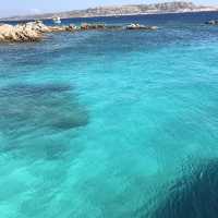 blue sardinia
