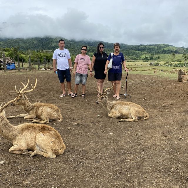 Deer Farm
