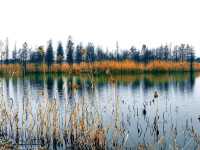 Purifying self at the Tiger Hill Wetland Park