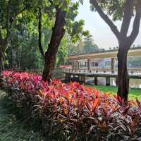 An oasis in a concrete jungle