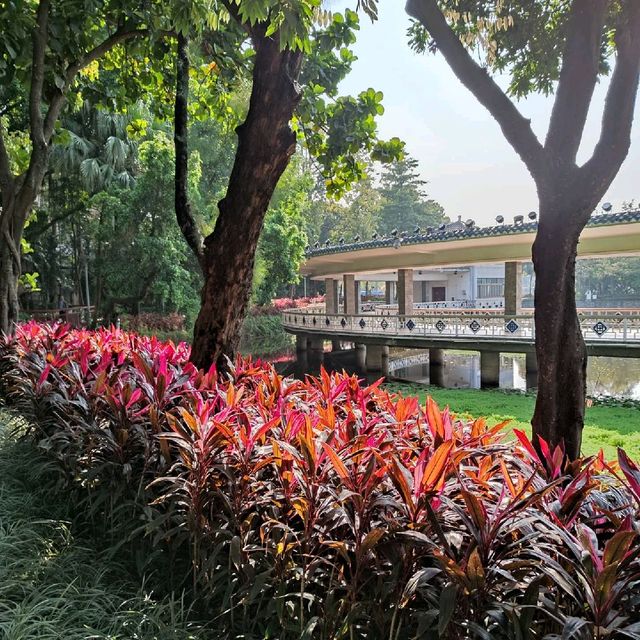 An oasis in a concrete jungle