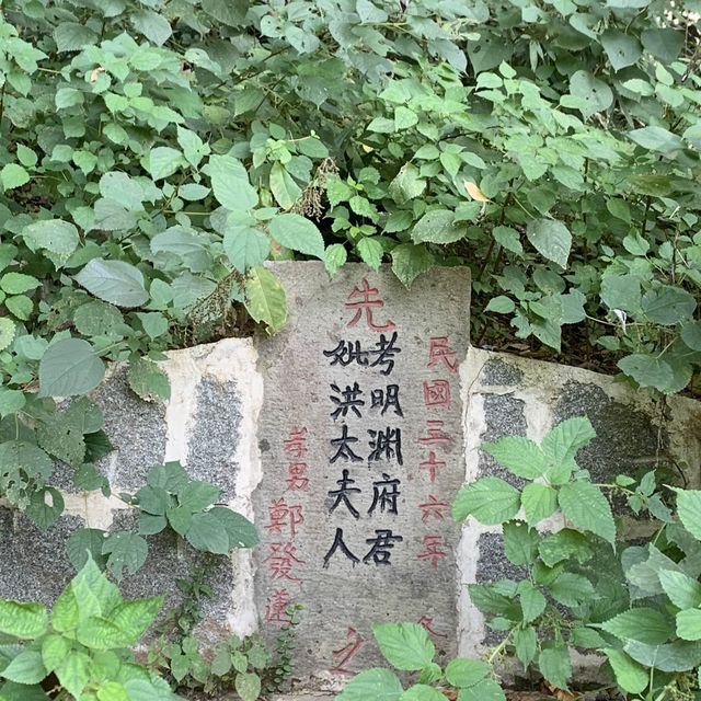 Autumn Hike at Linyin Mountain