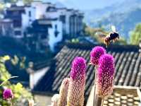 環中國騎游（第六十八天-摩旅+曬秋）