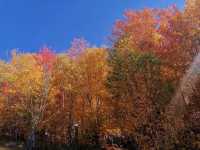 Canadian vacation ski resort - Mont-Tremblant in Quebec
