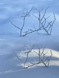 Climbed to the summit of Mount Ryoukou in Japan, one of the 100 famous mountains, during the severe winter season.