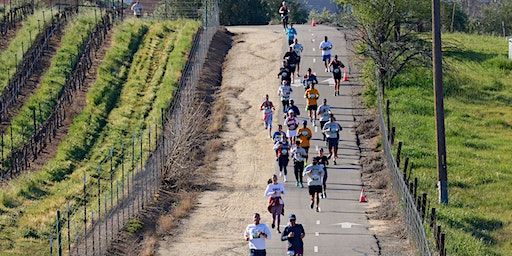 Volunteer as Event Crew: Livermore Valley Half Marathon | Livermore Downtown