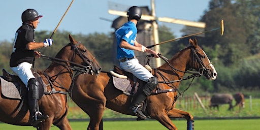 Tulip Trophy | Waalsdorperlaan 29A