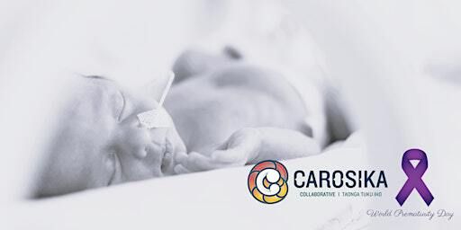 Launching Taonga Tuku Iho & the Carosika Collaborative Website | The Liggins Institute