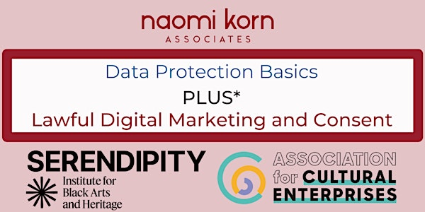 ACE Members Exclusive: Data Protection Courses and Networking Lunch | Serendipity Institute for Black Arts and Heritage
