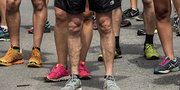 DORSTONE DAWDLE 10K | The Playing Fields