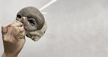 Sculpt Your Own Eyes | Art Gallery of Burlington