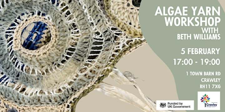 Algae Yarn Workshop with Beth Williams | 1 Town Barn Rd