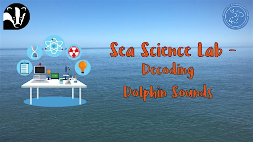 Sea Science Lab - Decoding Dolphin Sounds | Cardigan Bay Marine Wildlife Centre