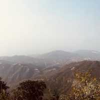 青山