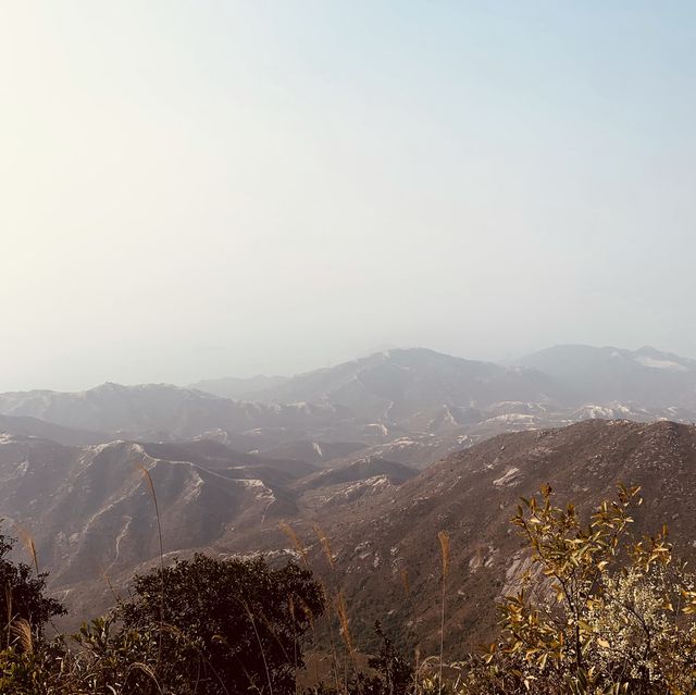 青山