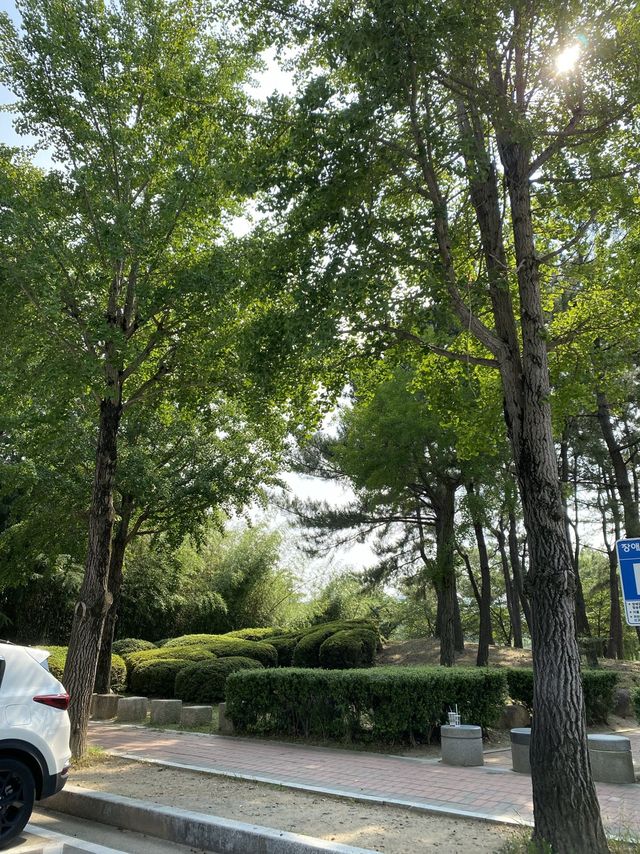 갑자기 떠나고 싶을 땐, 경주로!