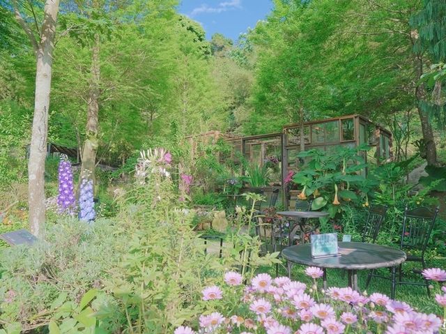 夏天來一碗彩虹粉粿冰吧！走進莫內畫中的世界，苗栗卓也小屋